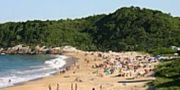 Praia do Pinho - Naturalista 