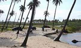 Praia de Massarandupi - Naturalista - Praia de Massarandupi - rea para estacionamento-Foto:Serneiva