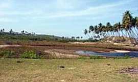 Praia de Massarandupi - Naturalista - Praia de Massarandupi - rea para estacionamento-Foto:Serneiva