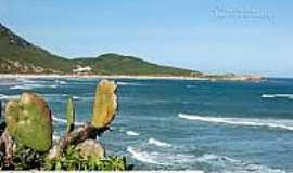 Praia da Galheta  - Naturalista - Vista da praia-Foto:litoraldesantacatarina.