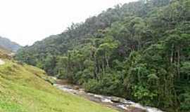 So Roque de Maravilha - So Roque de Maravilha-ES-Rio e a floresta-Foto:Regina Barcelos