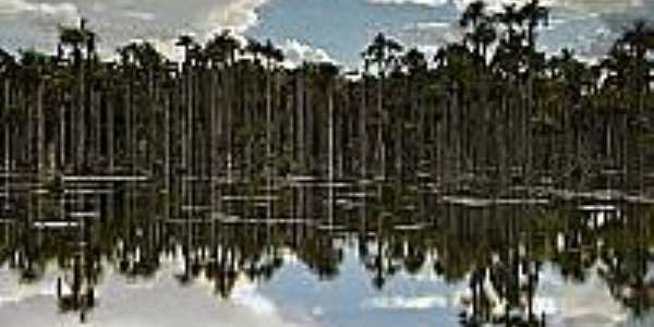 Lagoa das Araras em Araras-MT-Foto:flickr.