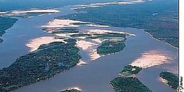Ilha do Bananal-TO-A maior Ilha fluvial do mundo-Foto:www.santaterezinha.mt.gov.br