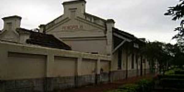 Peirpolis-MG-Antiga Estao Ferroviria,hoje Museu Paleontolgico-Foto:Altemiro Olinto Cris