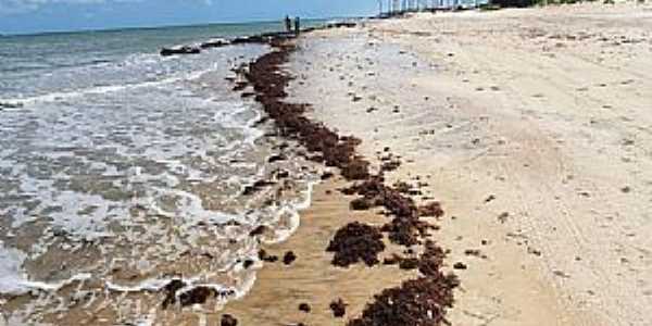 Imagens da Praia de Maracaja - RN