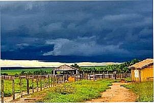 Localidade de Espig�o do Leste - MT Distrito de S�o F�lix do Araguaia - MT