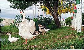 Bataypor� - Imagens da cidade de Bataypor� - MS