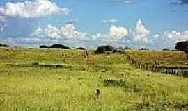 Stio do Mato - Vegetao na rea rural em Stio do Mato-Foto:wikipdia