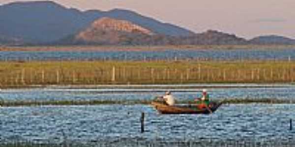 Pescadores no Lago de Sobradinho-Foto:Tovinho Regis