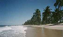 Subama - Praia da Barra