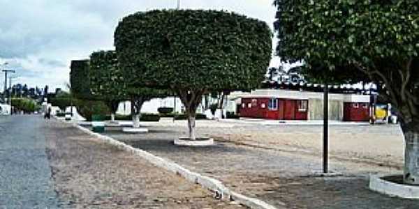 Imagens da cidade de Tapiramut - BA