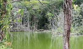 Macei - Macei-AL-Parque Nacional de Macei-Foto:alagoasqueamo 