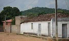 Umbuzeiro - Umbuzeiro foto Mundonovoba