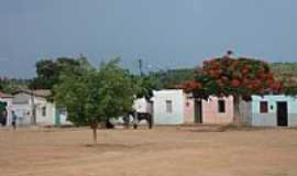 Umbuzeiro - Umbuzeiro foto Mundonovoba