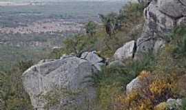 Valente - Valente-BA-Face sul da Serra do Pintado-Foto:orge LN