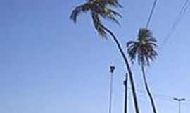 Vera Cruz - 