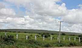 Vitria da Conquista - Cerca na margem da Rodovia BA-262 em Vitria da Conquista-BA-Foto:Dimas Justo