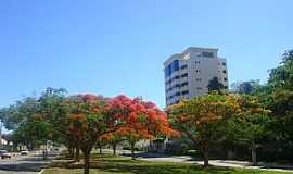 Vitria da Conquista - Vitria da Conquista-BA-Flores da Avenida Brasil-Foto:MARCELO S F