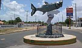 Acara - O peixe Camurupim na entrada da cidade-Foto:erasmoandrade