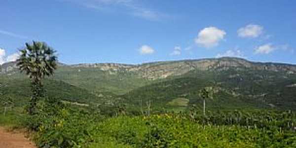 Adrianpolis-CE-Serra das Palmeiras-Foto:Csar Henrique