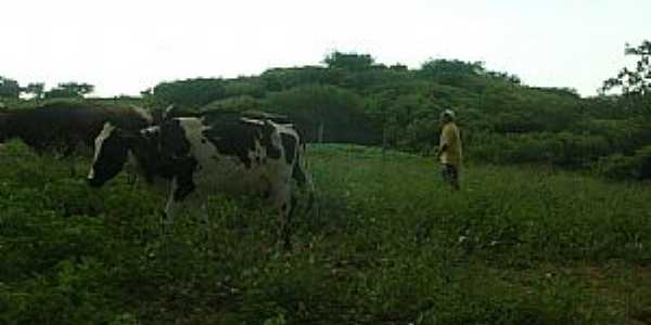 Amaniutuba-CE-Imagem rural-Foto:jairogomes