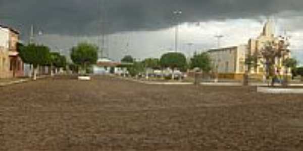 Ararend foto palestraitalia