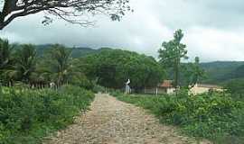 Aratuba - Aratuba-CE-Distrito de Mars, um osis verde no seto, no sop do Maio de Baturit-Foto:Josue Marinho