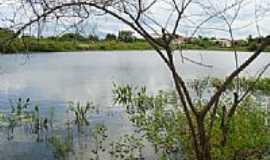 Aroeiras - Aude Grande na Fazenda Haras Sol Nascente-Foto:JOS FERREIRA