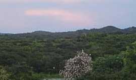 Baixio - Garas em Baixio-CE-Foto:Cinzio Ramalho