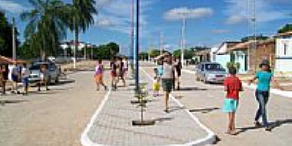 Avenida Sampaio Lacerda em Vila Barreiros-Foto:Miguel Sampaio Lacer