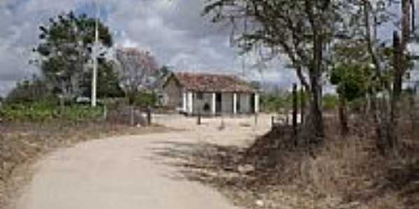 Casa no Povoado Lagoa das Ovelhas em Monteirpolis-AL-Foto:josealmedeiros@hotma