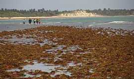 Bitupit - Bitupit-CE-Praia de Bitupit-Foto:MarcusDavis