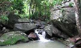 Murici - Serra do Ouro-Foto:jose mendes