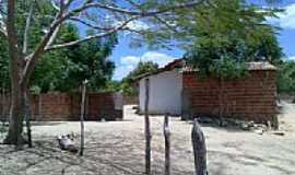 Campestre - Casa em rea rural-Foto: seefcoy