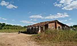 Canafistula - rea rural-Foto:Krewinkel-Terto de A