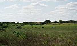 Canafistula - Panormica-Foto:Krewinkel-Terto de A