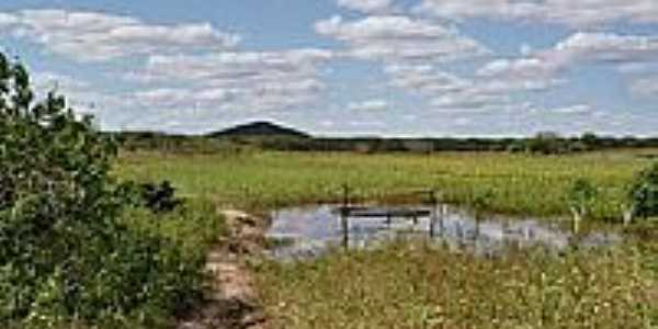 Lagoa-Foto:Krewinkel-Terto de A