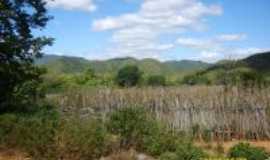 Canind - aude do capinha,serra da umburana  -   Por francisco nascimento