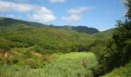 Canind - serra da umburana,serto de canind, Por francisco nascimento