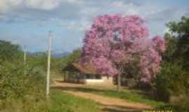 Canind - Serto da Quixaba,Canind,by francisco, Por francisco nascimento