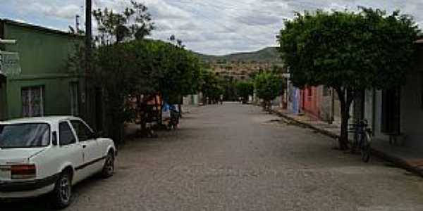 Olho Dgua das Flores-AL-Rua Cnego Jos Bulhes-Foto:Nilson Barbosa