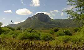 Chor - Chor-CE-Serra da Palha-Foto:gilmar frana 