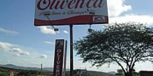 Entrada da cidade de Olivena-AL-Foto:Sergio Falcetti