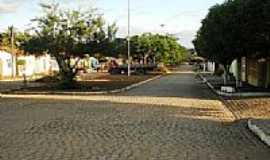 Palmeira de Fora - Avenida-Foto:NewertonSantos