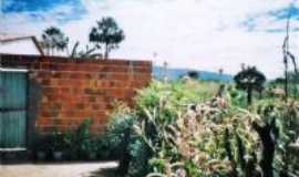 Frecheirinha - Por Elber