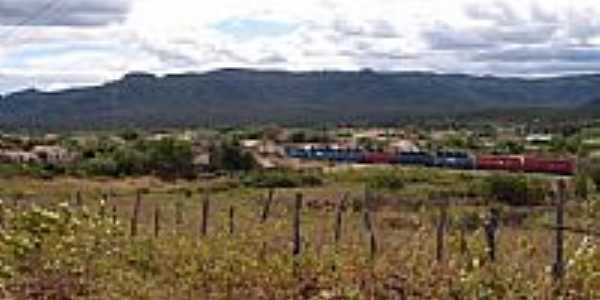 Comboio Ferrovirio em Ibiapaba-CE-Foto:Chico Mendes o Pesca