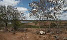 Jaguaretama - Jaguaretama-CE-Caatinga e o lago-Foto:Charles Northrup