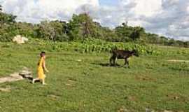 Jaguaribara - Jaguaribara foto Reginaldo Granja