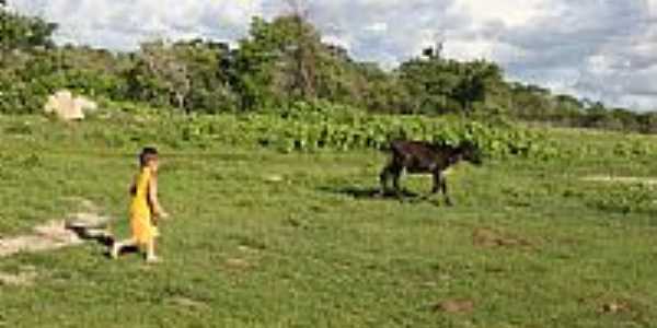 Jaguaribara foto Reginaldo Granja