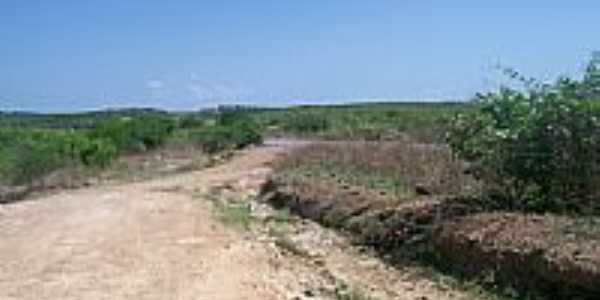 Mapu-CE-Acesso da BR-116 para a estrada de Mapu-Foto:Assis Cavalcante